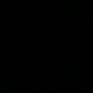 Meet your Posher, Cupcake